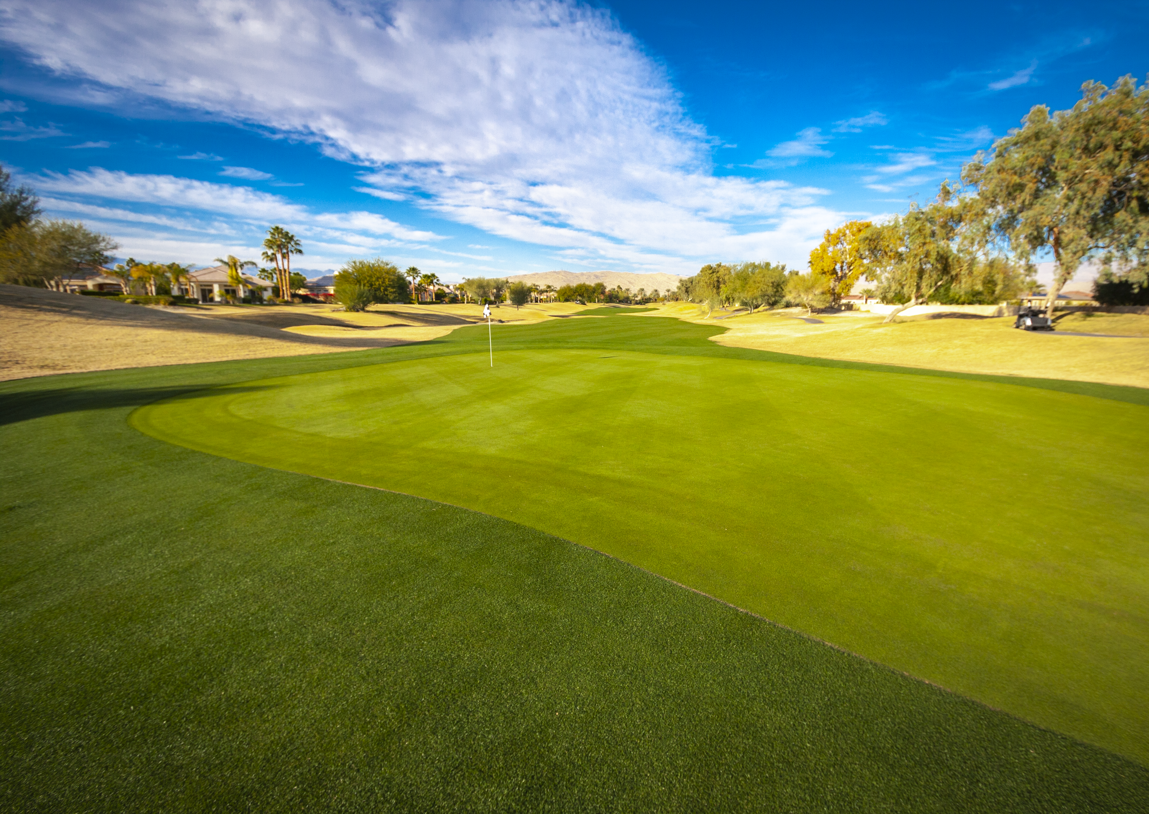 Image of golf ball on tee on grass.